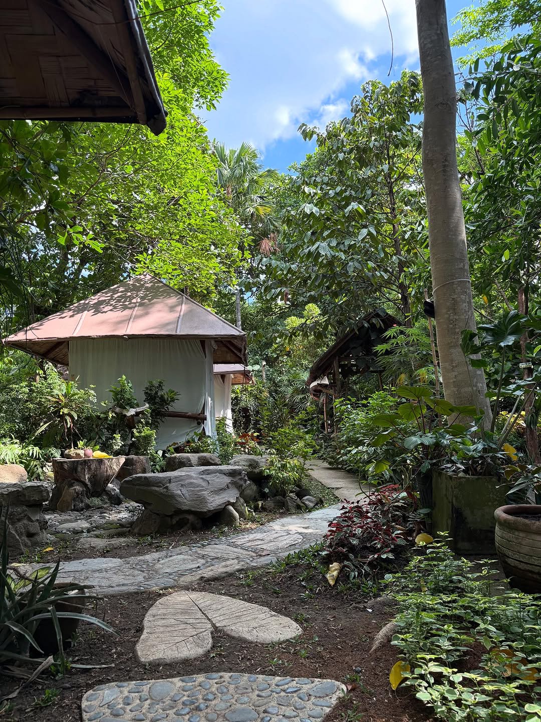 Winding paths at Kapusod