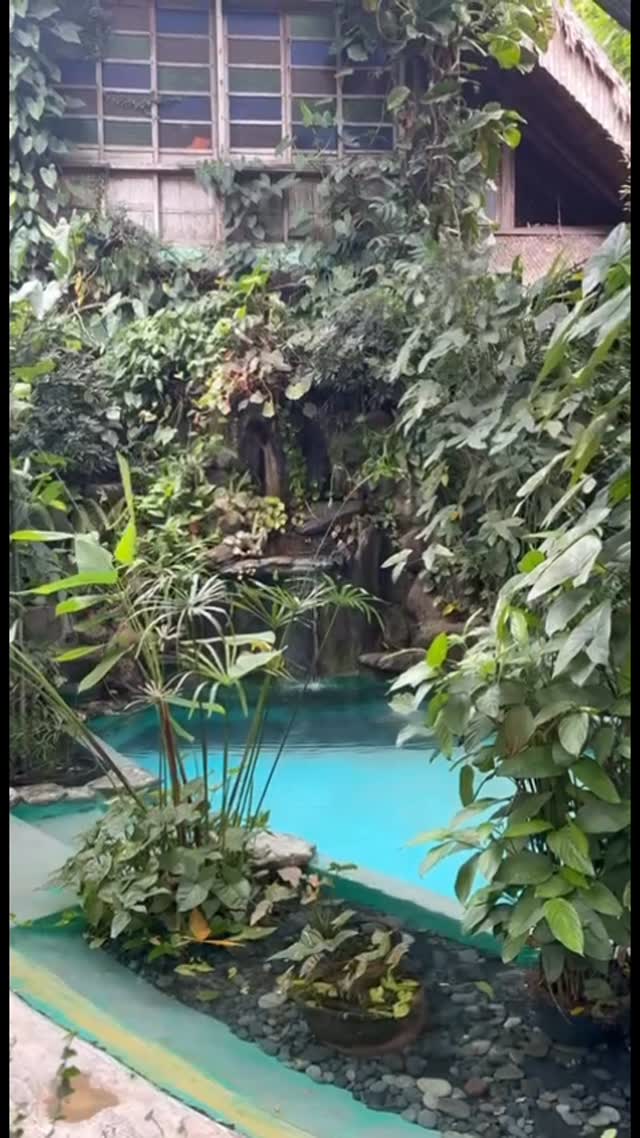 Natural pool with plants at Kapusod — zero chemicals
