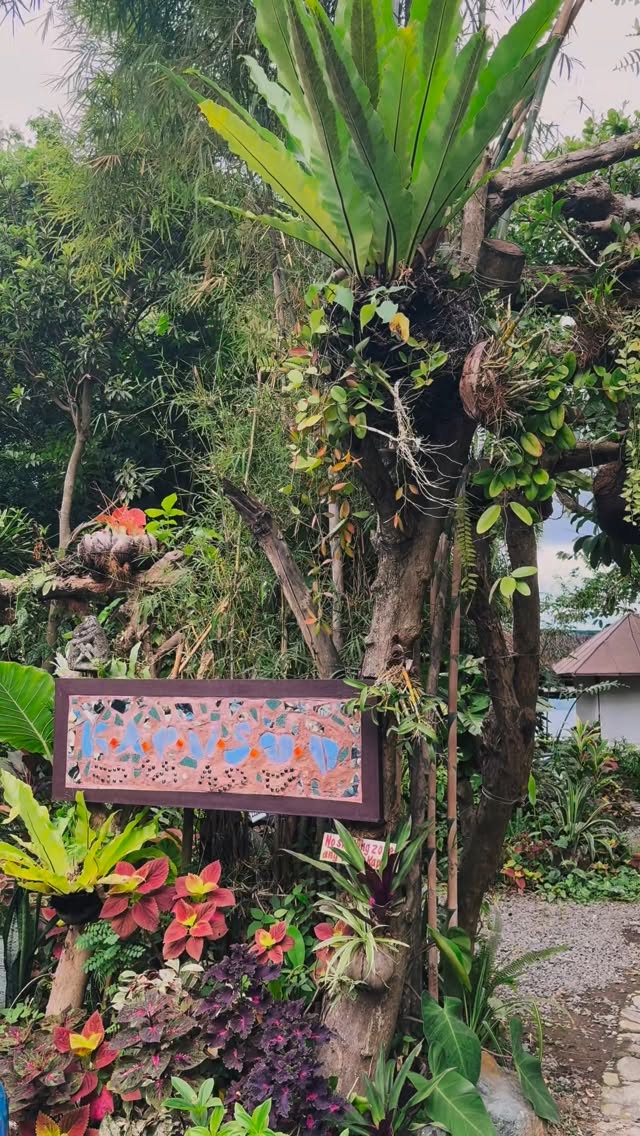 Scenes of flora and fauna at Kapusod
